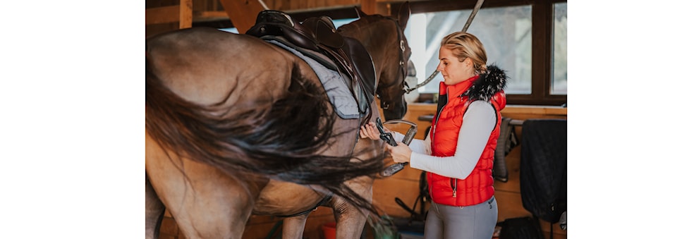 Kurs for voksne - Hest og hestehold